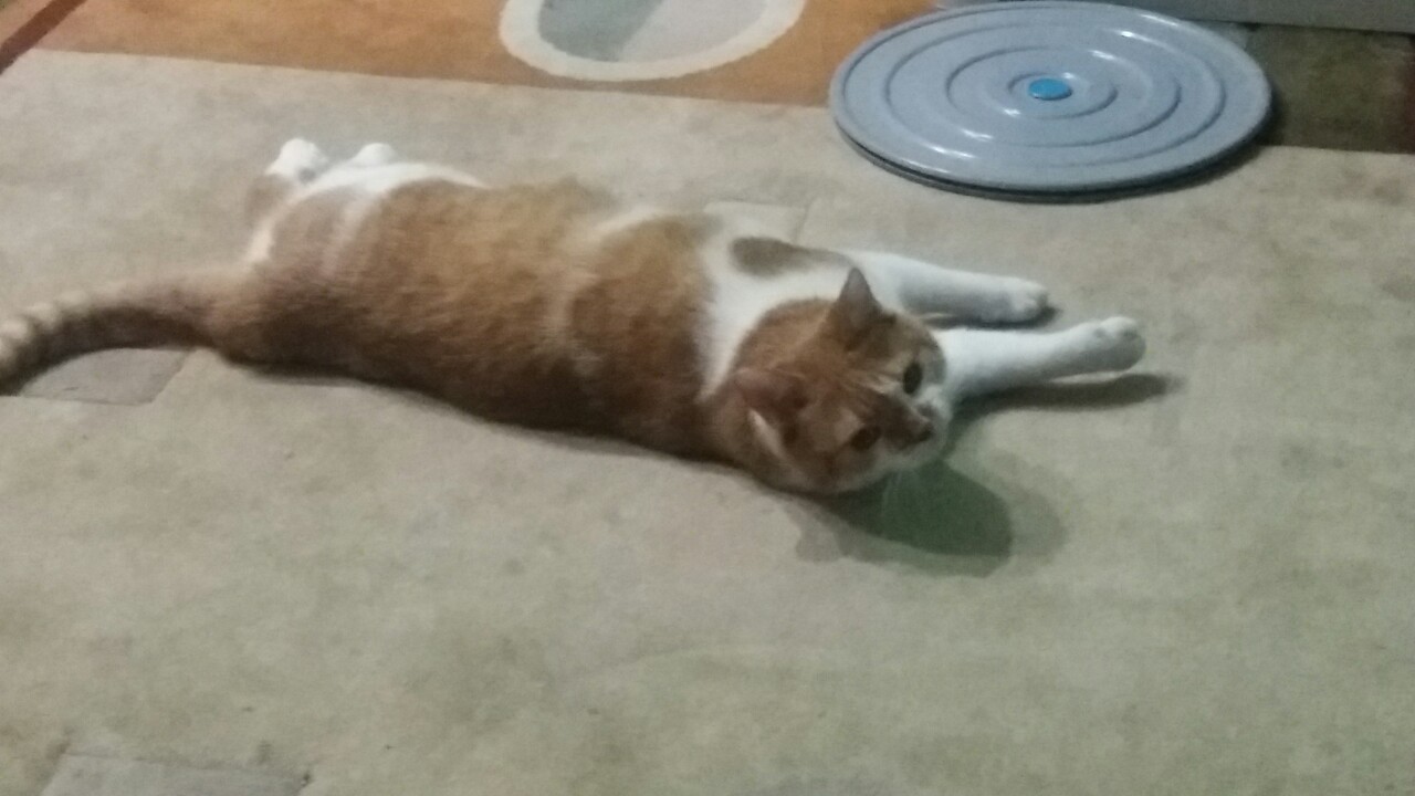 Ксю у Ольги Миры2