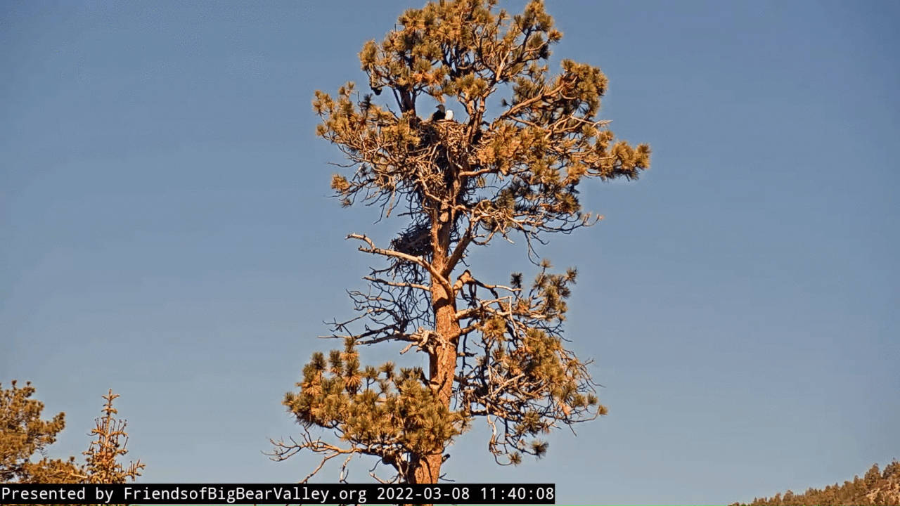 Webp.net-gifmaker (1)