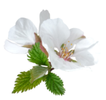 - ()))))))))))))))))))))))))))