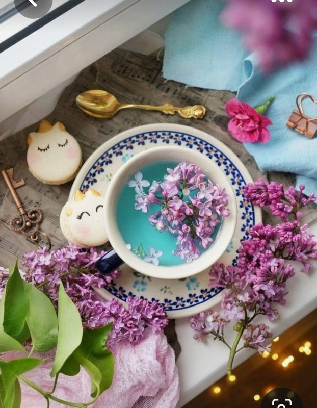 Screenshot_20230712_005143_Pinterest