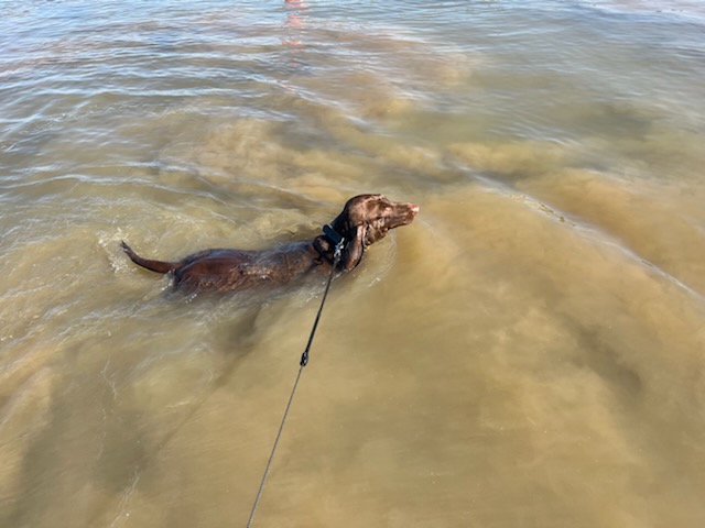 [Image: IMG-2549.jpg]