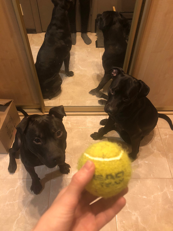 A2B28D81-266A-4E7F-8222-5E77D20B5769