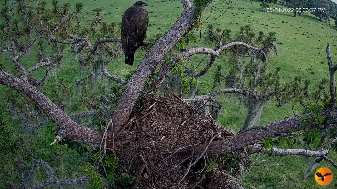 EC 4K Overhead Cam 10-22-47 screenshot
