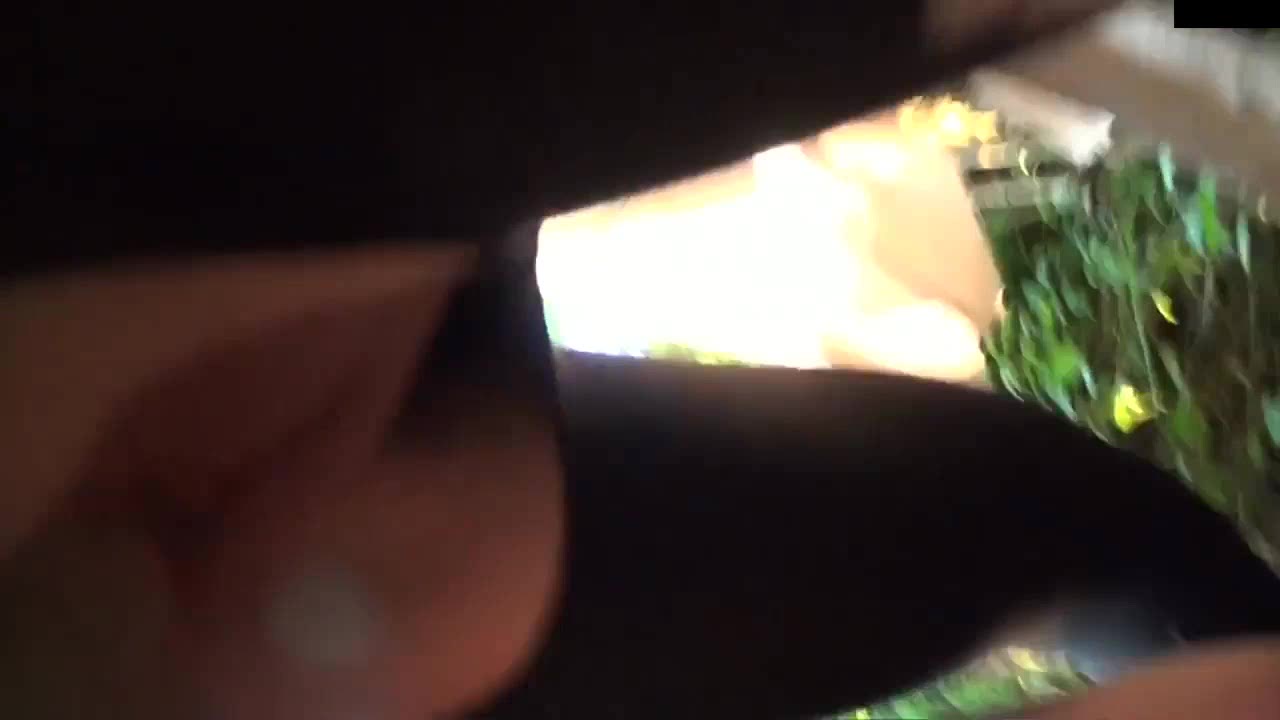 pornbb creampie in Sweden forest 13