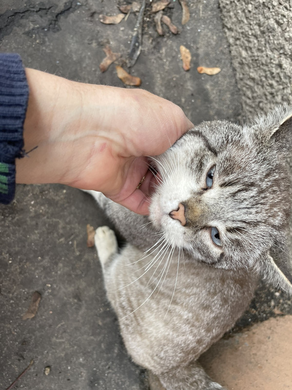 1E3CD40A-435C-4F78-BF31-7DF22383FF6A