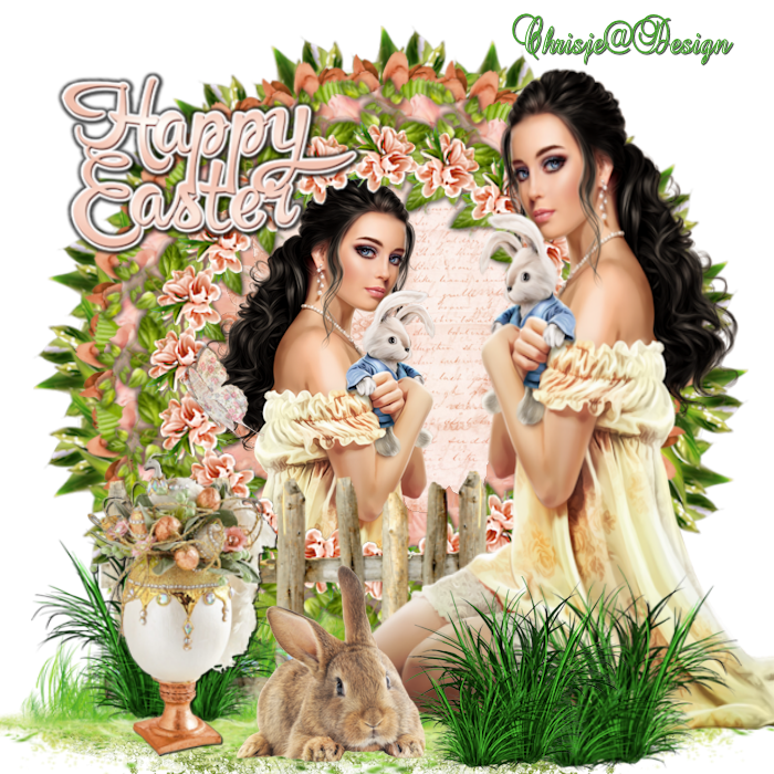 Image and video hosting by TiyPic