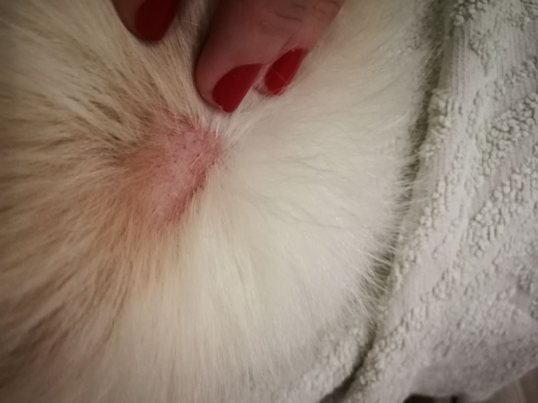 5C4DA26B-CA19-483B-A4B4-322302F9AEE2