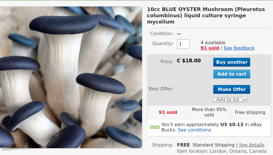 blue-oyster.png
