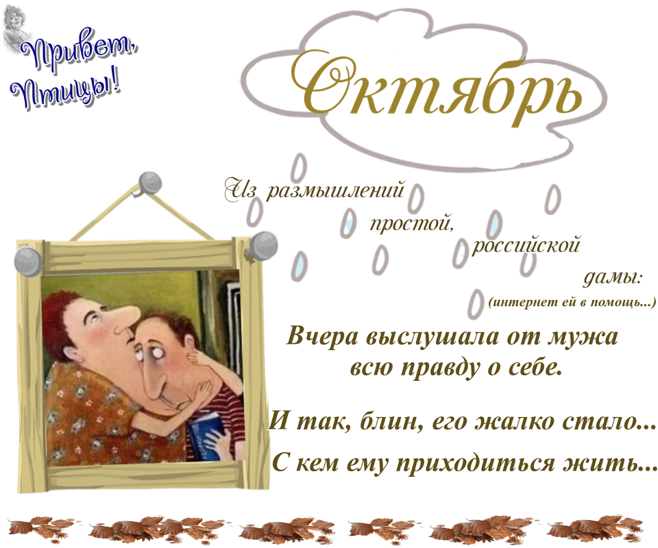 https://i.postimg.cc/QtMpm3S6/19-10.png