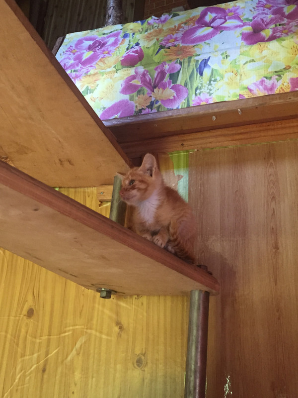 6056E665-D095-46D2-96D7-6D0A20AEE43F