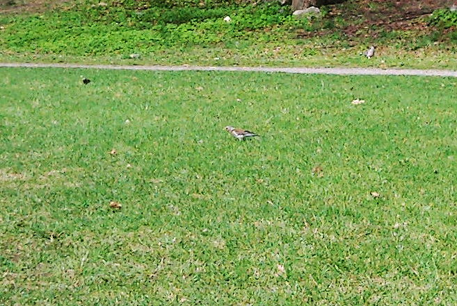 2015-05-01 @13-25-41