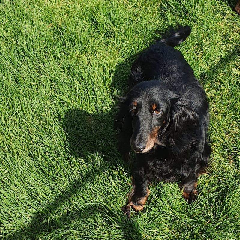 [Image: 20230524-095217.jpg]