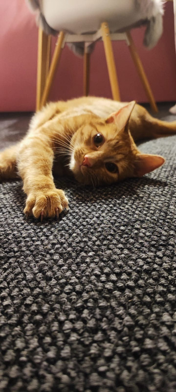 486ac642 28b2 450f 87ef d4428dc6d980