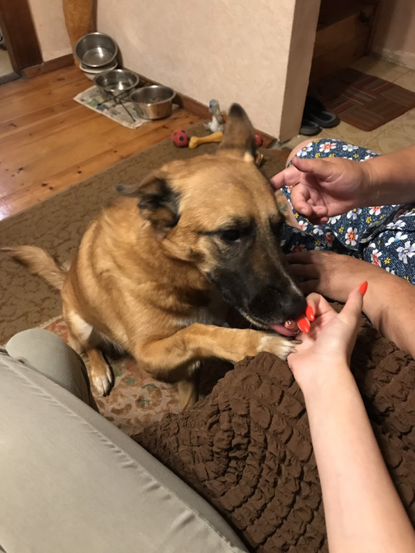 изображение_viber_2019-07-16_15-16-44