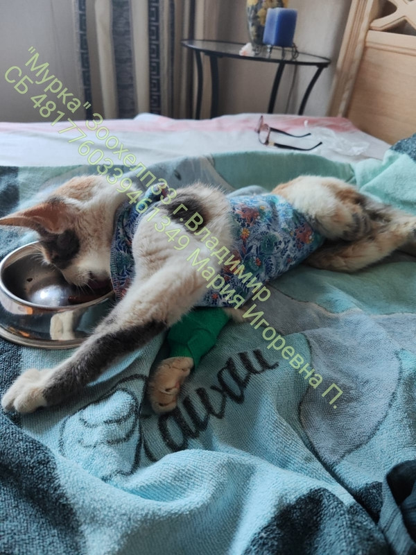 PCwwKYzb6GMVk1PfQfAlXoSi0vmrUOVwDpfNNpqanYaJfBDw-pW-prj9G9SwgRuXZTRdyzATUxoW23h54rGDR1ZL