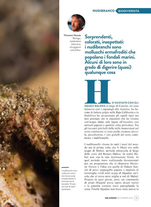 melaverde Set 2021 (2)