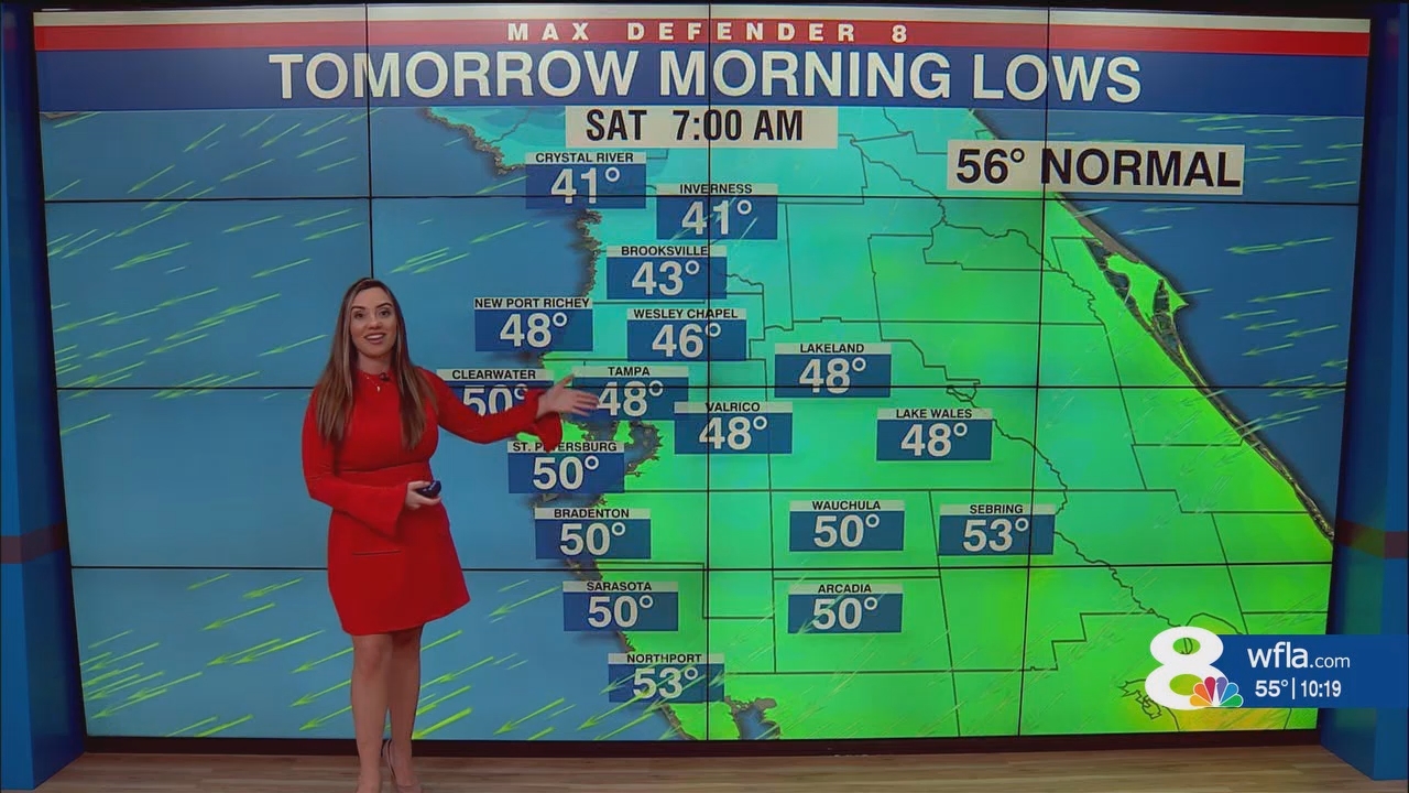 NewsChannel 8 News at 1000pm_20250222_03000330.ts_snapshot_19.39.966