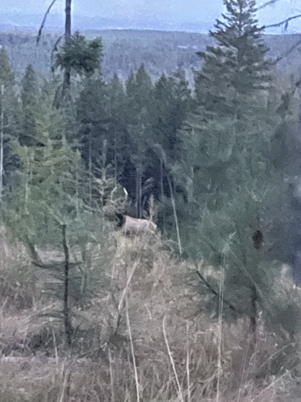 68576422436__876C2A57-57AC-43D8-9EBD-79A871809466.fullsizerender