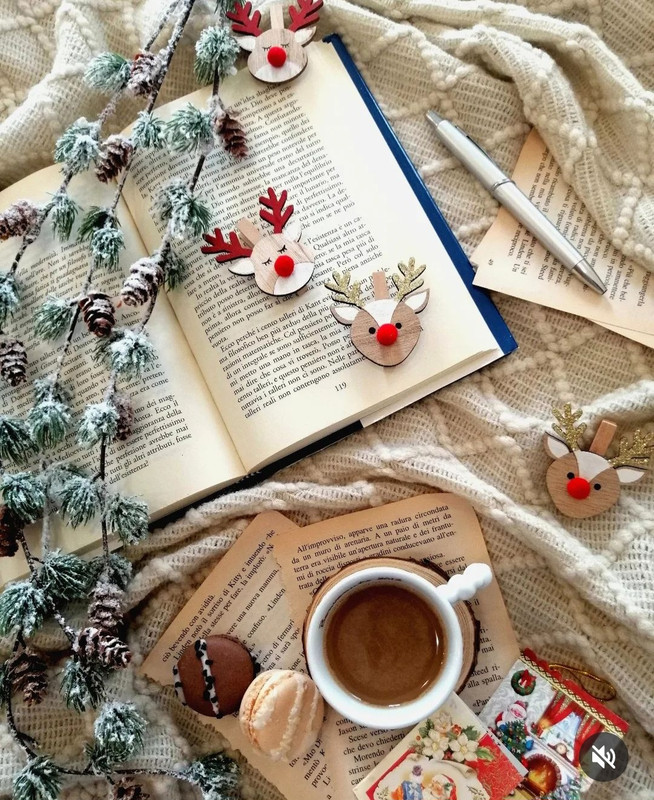 Screenshot_20231203_233917_Instagram