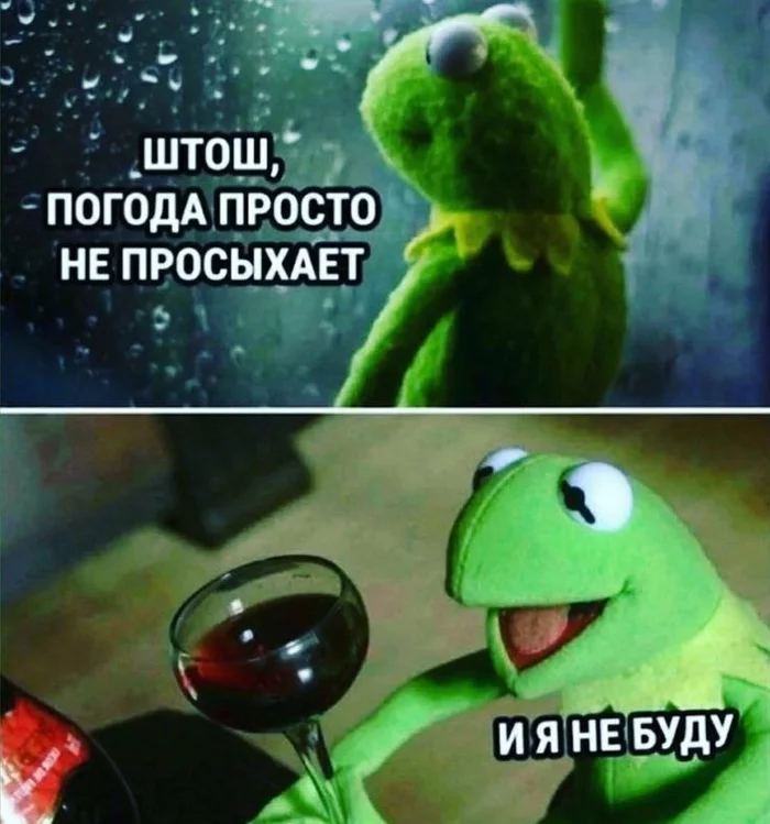 1689277034154821883