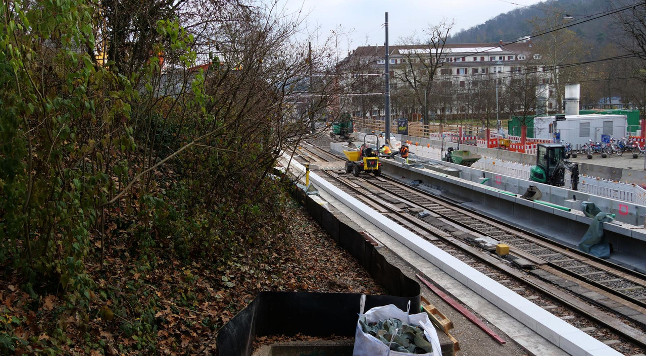 [Bild: 221125-105125-339b.jpg]