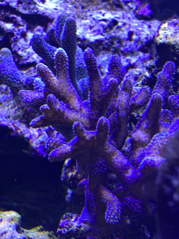 BA04EA59-81AC-4C54-8B2A-DEDC67E68BA2