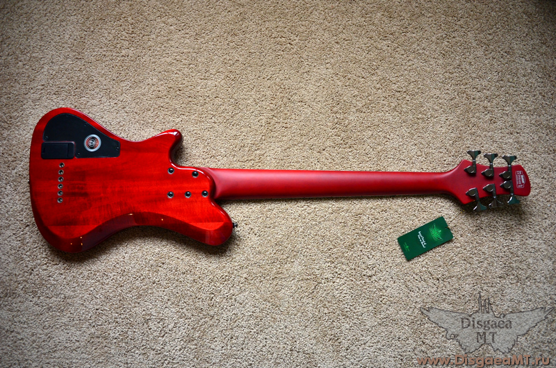 Kraken_Champ_3.9_6_string_5-redbrl_018