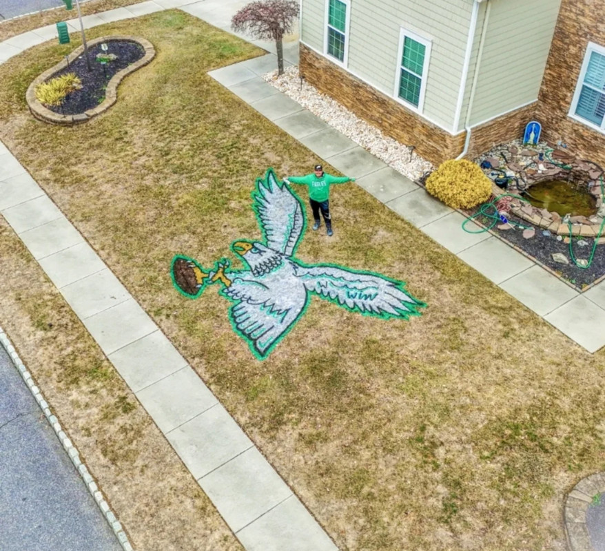 A freshly painted Eagles logo on a vibrant green lawn.
