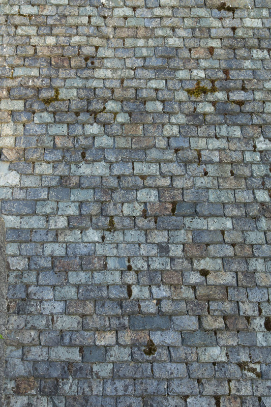 [Bild: IMG-1990.jpg]