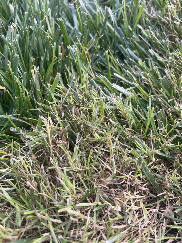 30870BE1-6364-47A6-BFA3-0FB65E232263