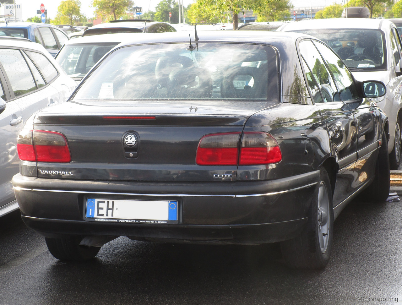 IMG-8648.jpg