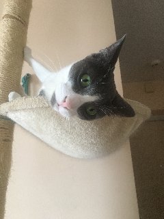 EB75-A91-C-478-B-404-F-9848-35-FD9160-F1