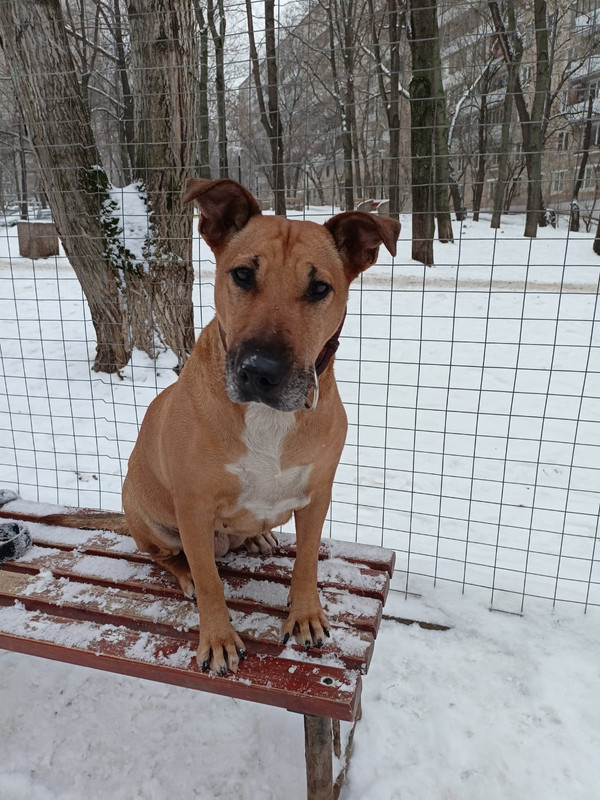 8B4275FF-1D38-45FC-8626-61158383C551