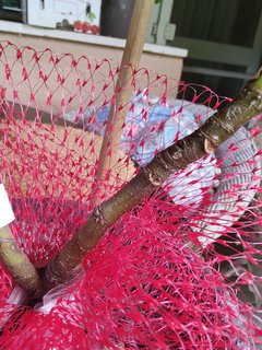 IMG_20230704_154910326