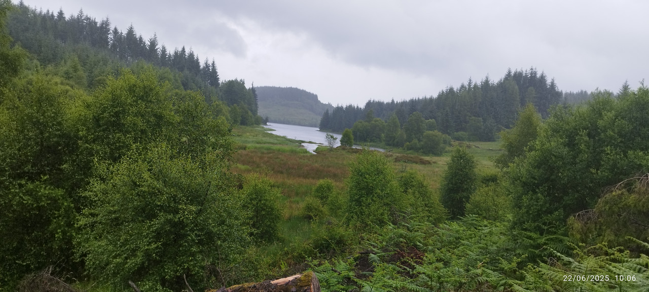 Segundo viaje a Escocia - Blogs de Reino Unido - Día 6 Balfron - Callander - Loch Lomond (3)