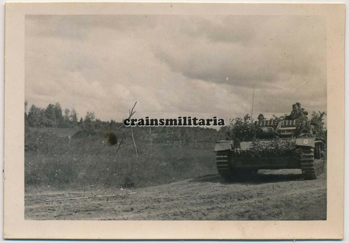 Orig. Foto Vormarsch StuG Sturmgeschütz Panzer m. Wappen in Russ
