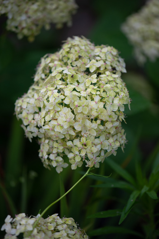 IMG-09a4f90e1f2e1ba16a77015c376b9887-V