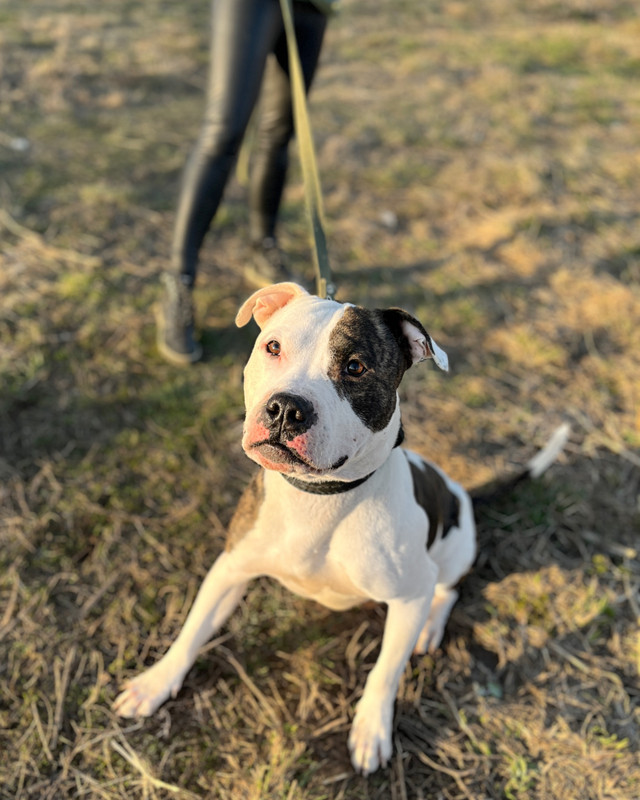 859282D3-9E9A-4399-B3DA-27FFF4BB6485