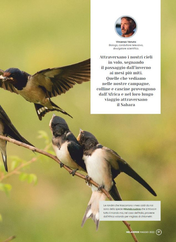 melaverde Mag 2022 (4)