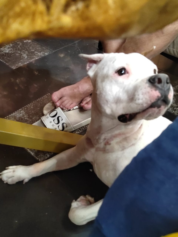 E9A382ED-EDEC-4265-9CDD-E0976D891FE3