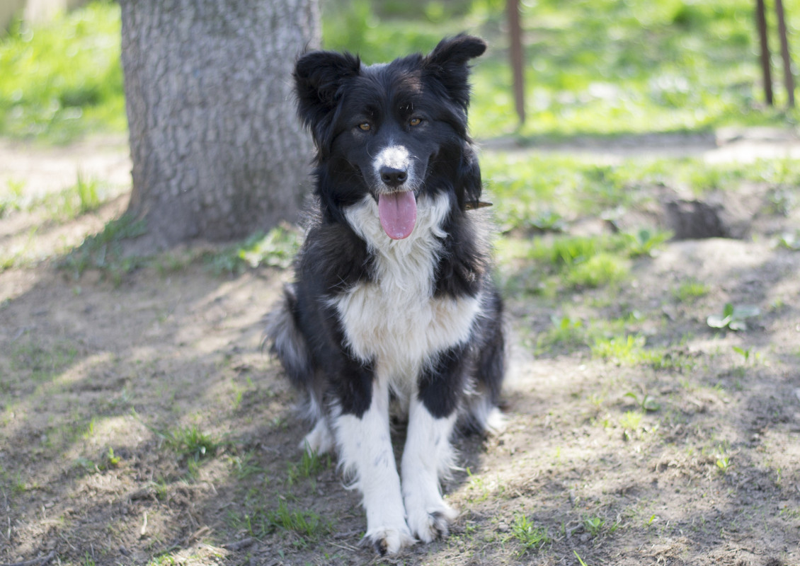 Фортуна_04_19_м8