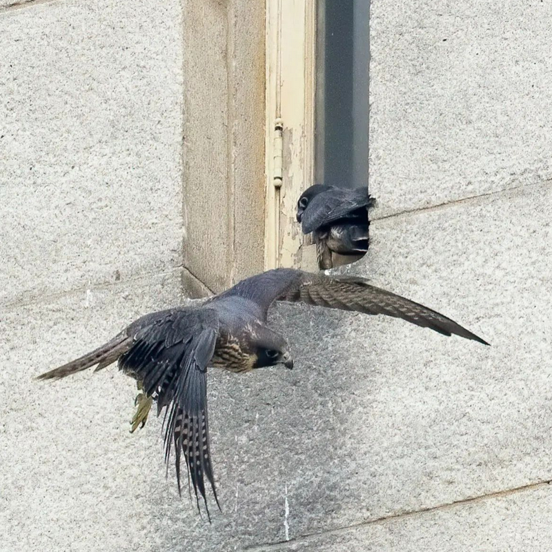 Screenshot 2022-07-14 at 13-25-20 Moon Rabbit Rising (@moon_rabbit_rising) • Instagram photos and vi