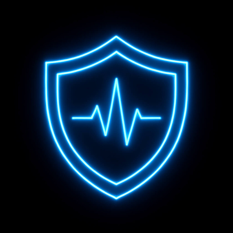 Security Shield Icon