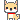 doggy look