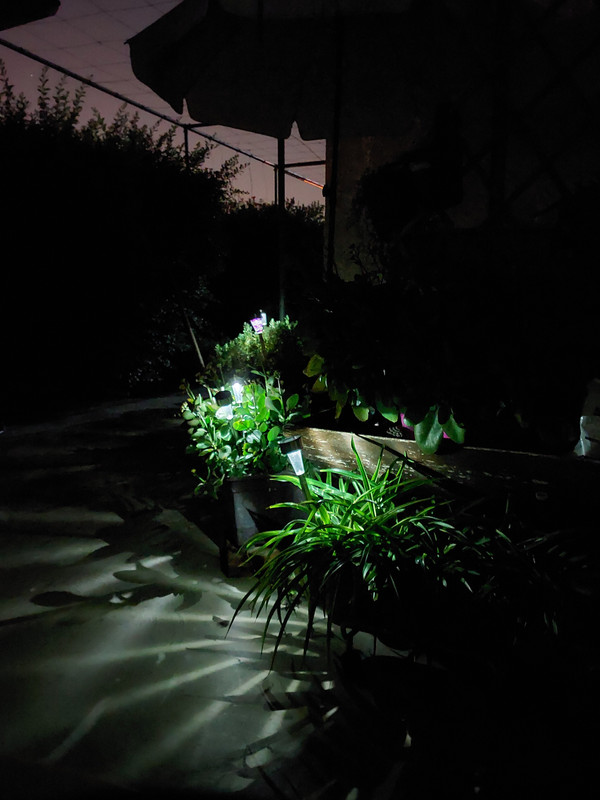 20220101_183619