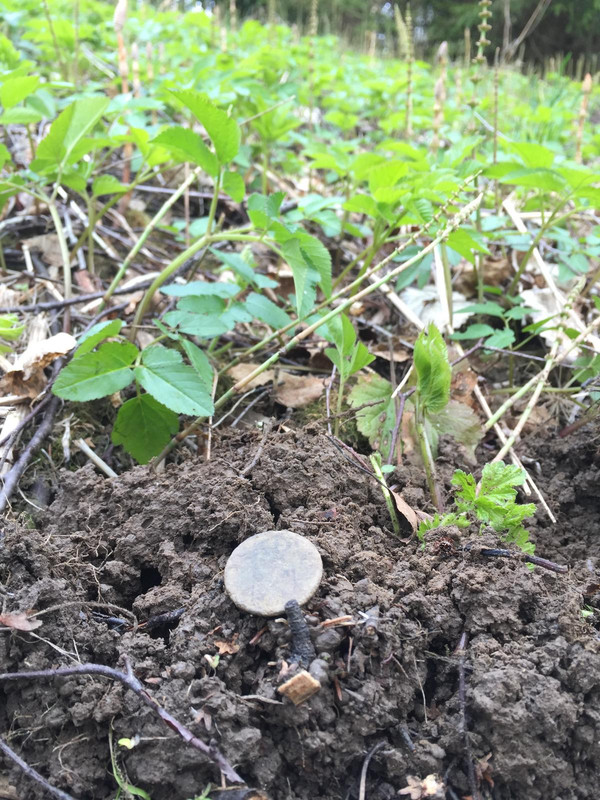 91FCE504-6630-404F-BAAD-0036C08C3D97