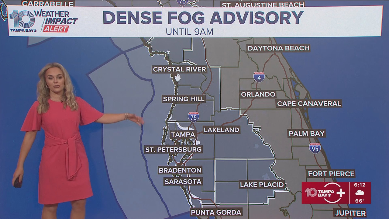 10 Tampa Bay News This Morning at 600 a m 20251124 11001200 ts snapshot 13 09 536