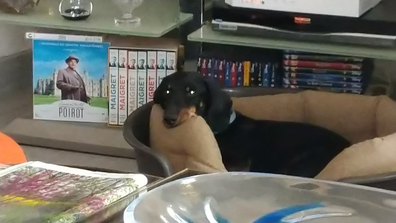 [Image: DSC-0866.jpg]