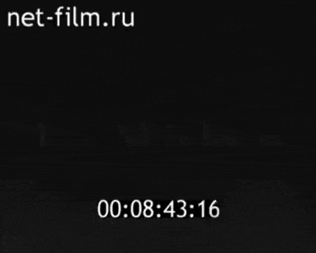 https://i.postimg.cc/QtSjXcjZ/video-2026-07-28-05-42-45-(1).gif