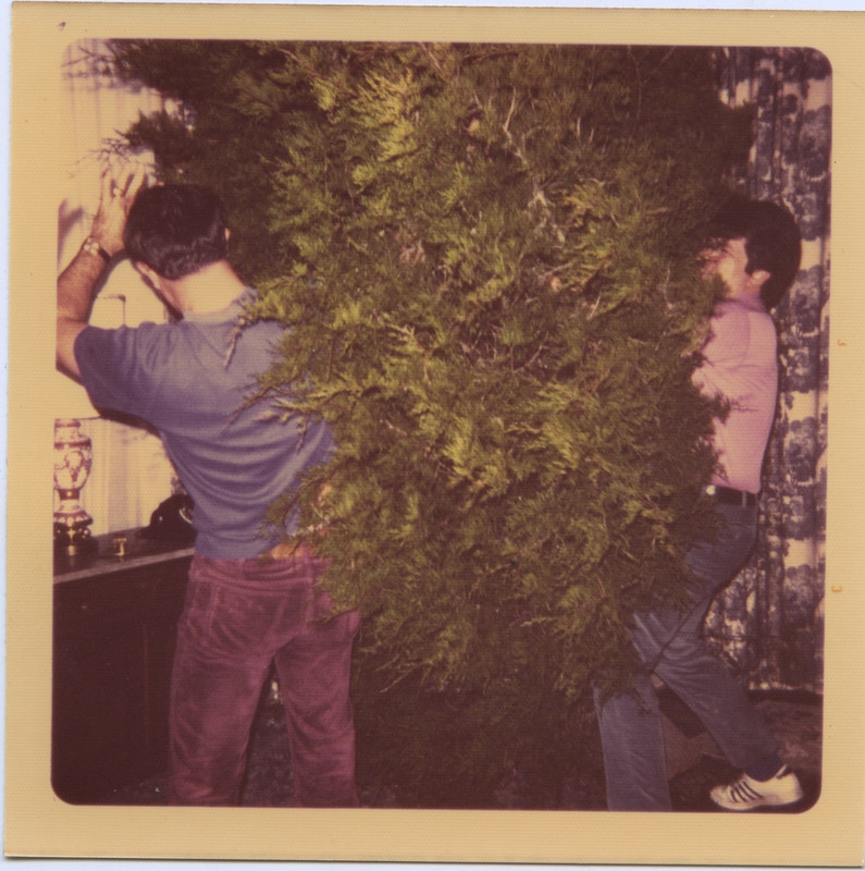 fba3c75fa508154528744fb2e1d105546fa4a760